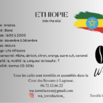 Café Into The Wild - Ethiopie – Image 2