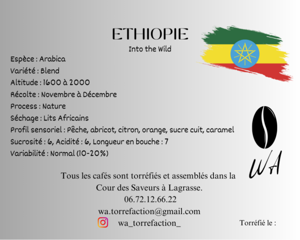 Café Into The Wild - Ethiopie – Image 2